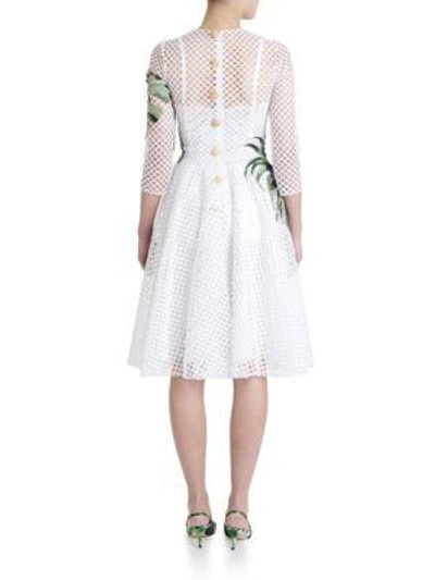Shop Dolce & Gabbana Lattice Tulle Leaf Embroidered Dress In White