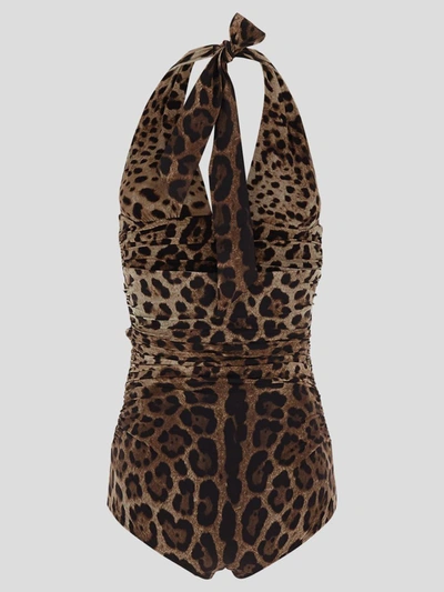 Dolce & Gabbana Women Leopard Printed Sensitive Fabric One-piece Swimsuit In Leonew