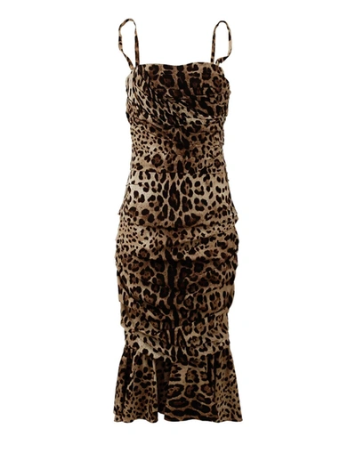 Shop Dolce & Gabbana Elegant Leopard Print Cady Women's Dress In Brown