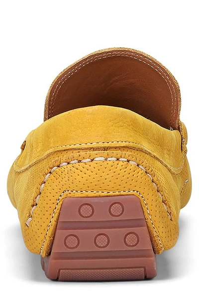 Shop Donald Pliner Dacio Perforated Bit Loafer In Sungold
