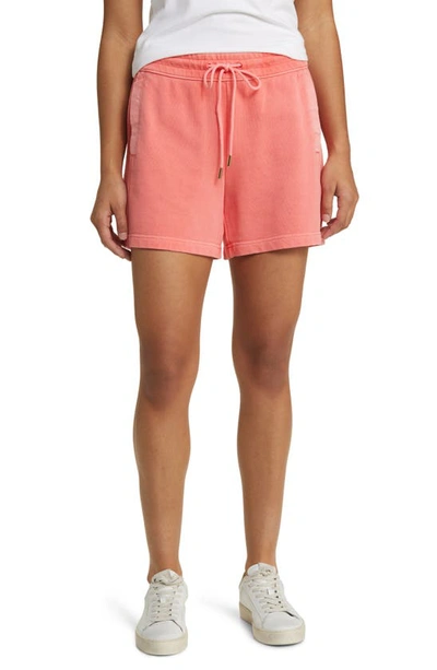 Shop Tommy Bahama Sunray Cove Hybrid Shorts In Pure Coral