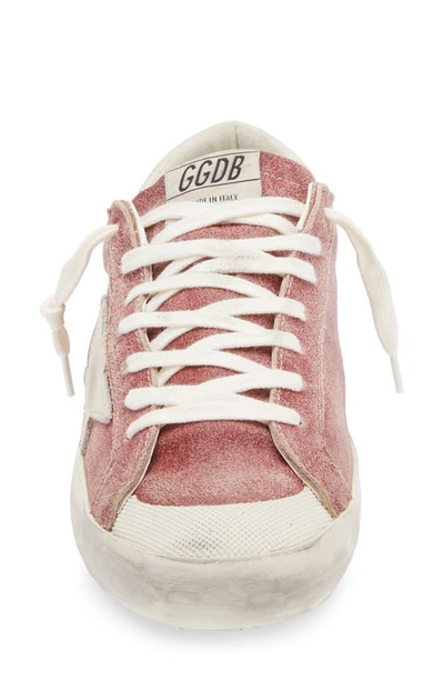 Shop Golden Goose Super-star Low Top Sneaker In Pomegranate/ Cream/ Silver