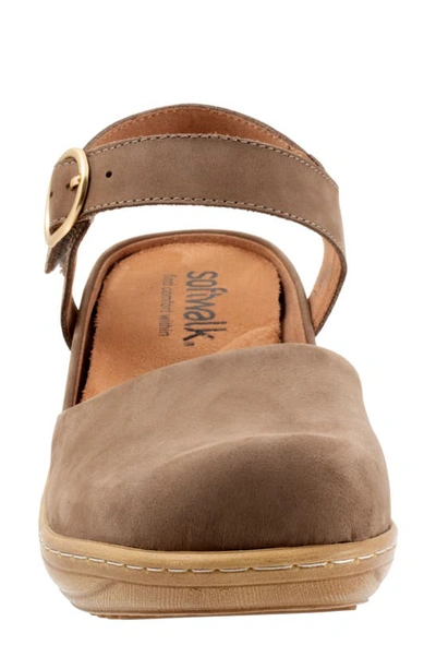Softwalk Mabelle Ankle Strap Clog In Taupe Nubuck
