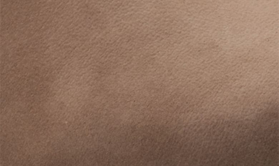 Softwalk Mabelle Ankle Strap Clog In Taupe Nubuck