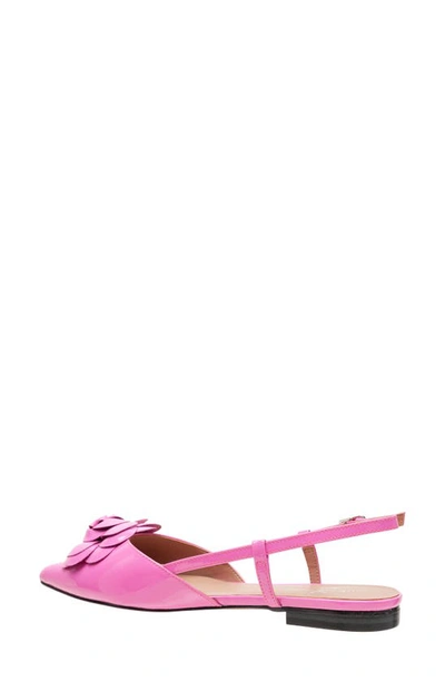 Linea Paolo Cammy Slingback Pointed Toe Flat In Magenta