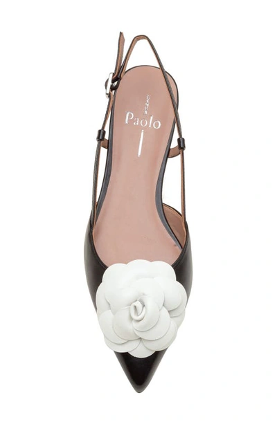 Linea Paolo Cammy Slingback Pointed Toe Flat In Black/ Eggshell