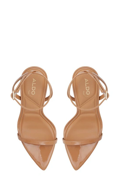 Shop Aldo Tulipa Ankle Strap Pointed Toe Sandal In Other Dark Beige