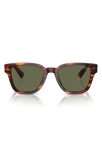 Prada 52mm Polarized Pillow Sunglasses In Havana Red