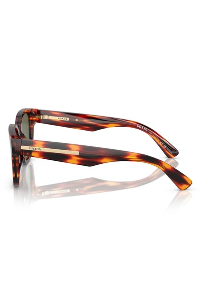 Prada 52mm Polarized Pillow Sunglasses In Havana Red