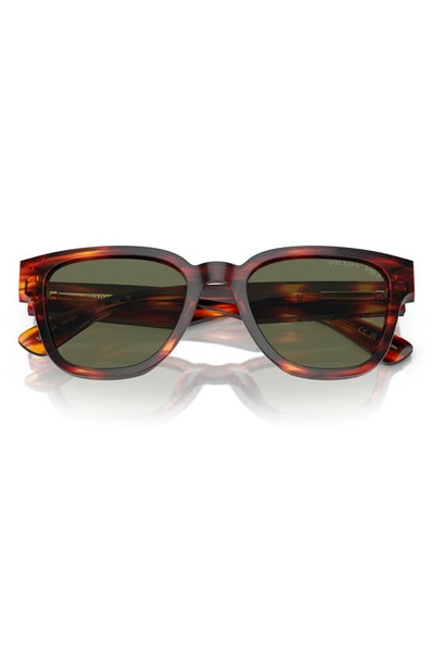Prada 52mm Polarized Pillow Sunglasses In Havana Red