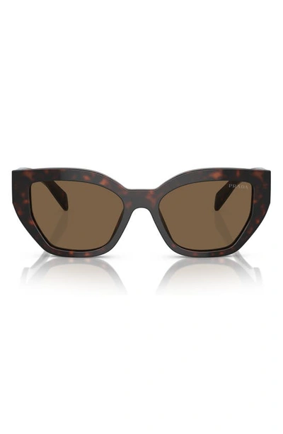 Shop Prada 53mm Butterfly Sunglasses In Dark Brown