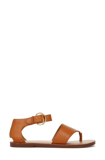 Shop Franco Sarto Ruth Ankle Strap Sandal In Tan