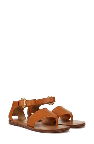 Shop Franco Sarto Ruth Ankle Strap Sandal In Tan