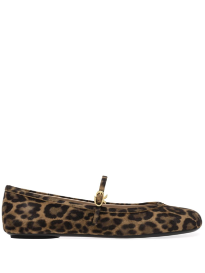 Shop Gianvito Rossi Carla Leopard-print Suede Ballet Pumps - Women's - Leather/suede/rubber In Brown