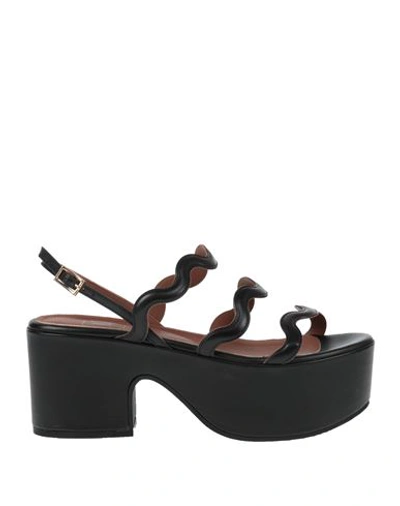 Shop L'autre Chose L' Autre Chose Woman Sandals Black Size 7 Calfskin
