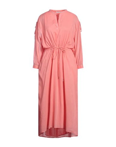 Shop Peserico Woman Midi Dress Salmon Pink Size 12 Cotton