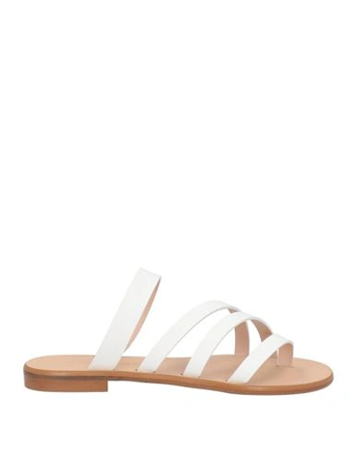 Shop Sarah Summer Woman Thong Sandal White Size 8 Leather