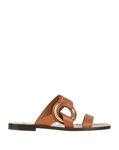 Shop Chloé Woman Sandals Tan Size 5 Soft Leather In Brown