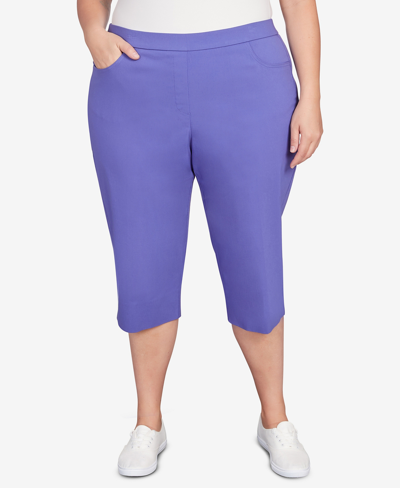 Shop Alfred Dunner Plus Size Classic Allure Stretch Clamdigger Capri Pant In Violet