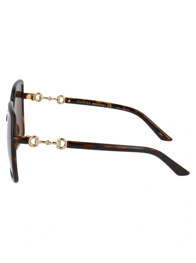 Shop Gucci Sunglasses In 002 Havana Havana Brown