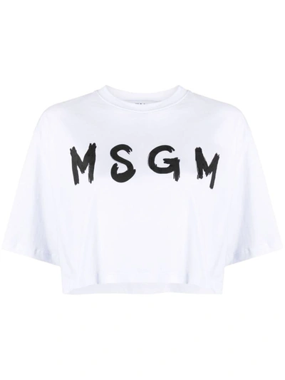 Shop Msgm Short T-shirt Logo In White