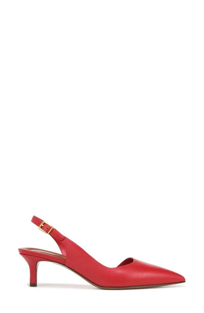 Shop Sarto By Franco Sarto Kimberly Half D'orsay Pointed Toe Kitten Heel Pump In Red
