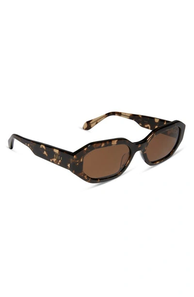 Shop Diff Allegra 53mm Polarized Oval Sunglasses In Brown