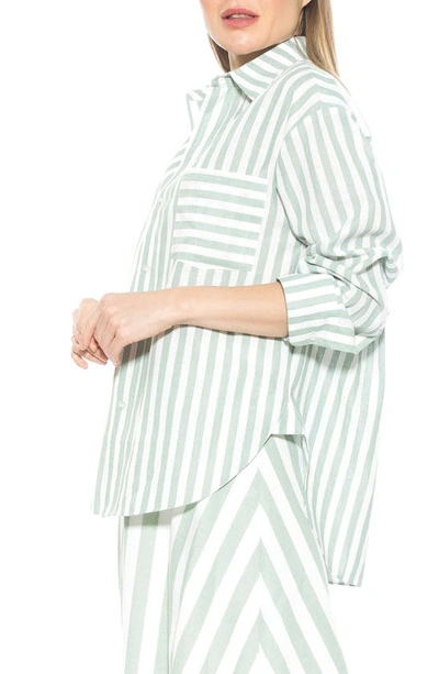 Shop Alexia Admor Tammi Oversize Stripe Boyfriend Button-up Shirt In Green Stripe