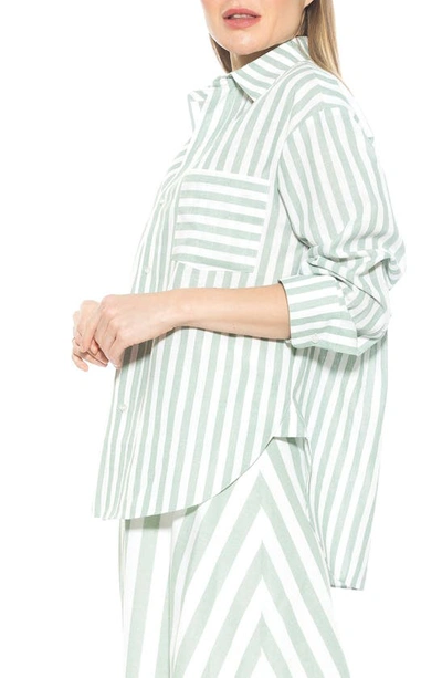 Alexia Admor Tammi Oversize Stripe Boyfriend Button-up Shirt In Green Stripe