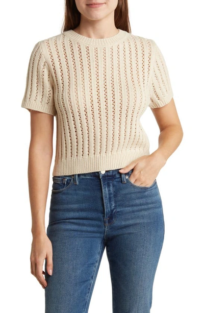 Shop Elodie Pointelle Short Sleeve Sweater In Taupe