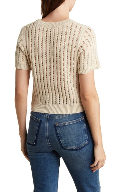 Shop Elodie Pointelle Short Sleeve Sweater In Taupe