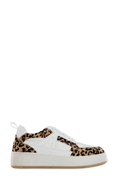 Shop Mia Dice Colorblock Sneaker In White/ Jaguar
