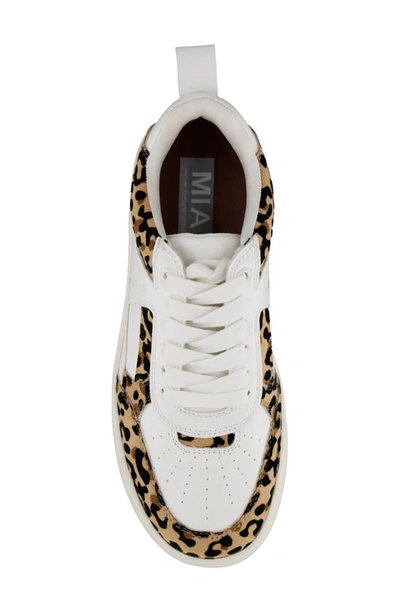 Shop Mia Dice Colorblock Sneaker In White/ Jaguar