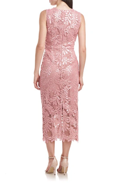 Shop Js Collections Jo Sequin Lace Cocktail Midi Dress In Blush