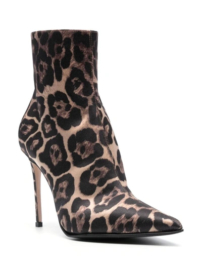Le Silla Eva 100mm Leopard-print Boots In Savannah