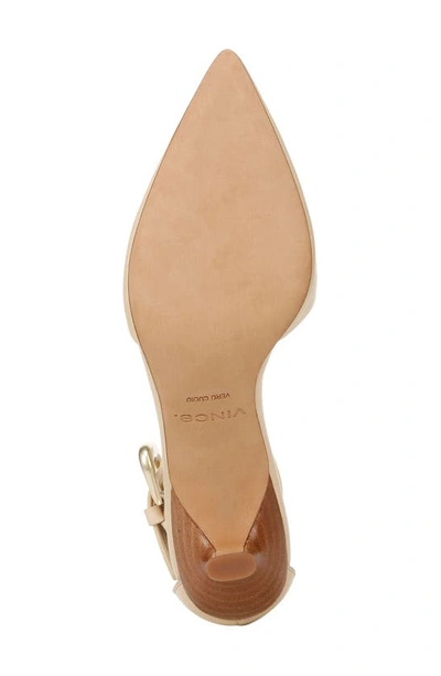 Shop Vince Perri Ankle Strap Pointed Toe Pump In Macadamia