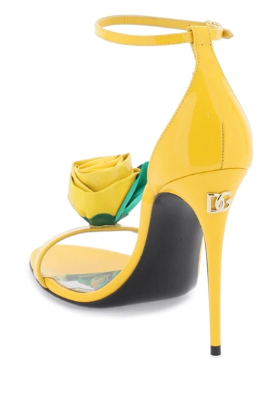 Shop Dolce & Gabbana Patent Leather Sandals With Flower Women In Yellow