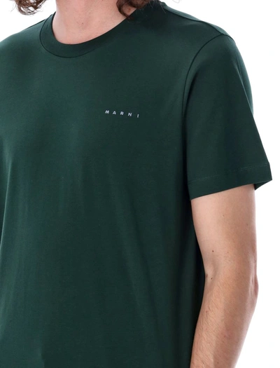 Shop Marni Mini Logo T-shirt In Green