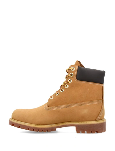 Shop Timberland Nabuck Premium 6 In Waterproof Boots In Honey