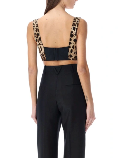 Shop Dolce & Gabbana Leopard Print Short Bustier Top In New Leo