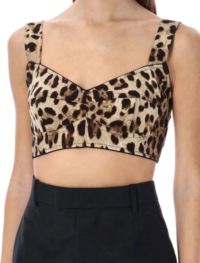 Shop Dolce & Gabbana Leopard Print Short Bustier Top In New Leo