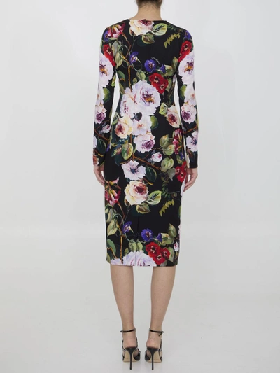 Shop Dolce & Gabbana Roseto Print Dress In Black