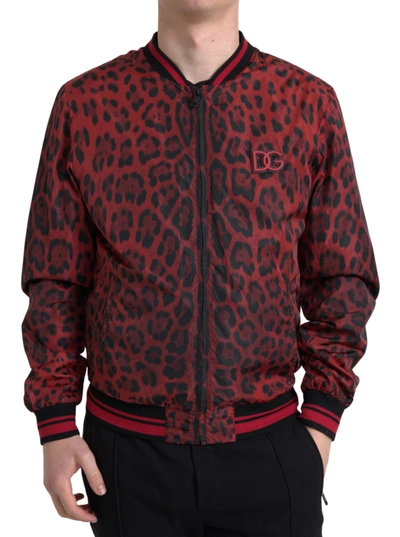Shop Dolce & Gabbana Red Leopard Bomber Short Coat Jacket