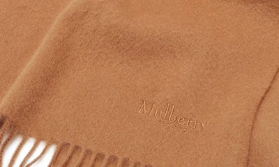 Shop Mulberry Embroidered Logo Fringe Trim Cashmere Scarf In Dark Camel