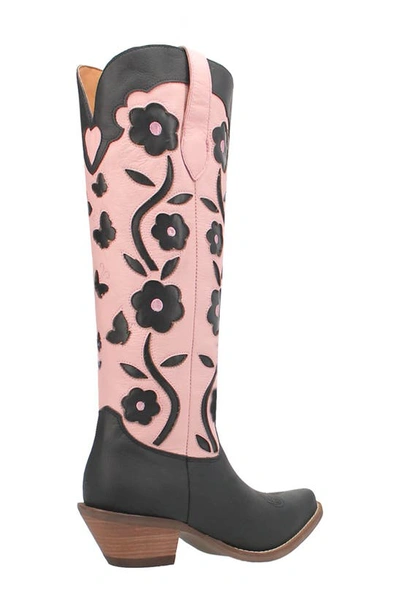 Shop Dingo Goodness Gracious Western Boot In Black/ Pink