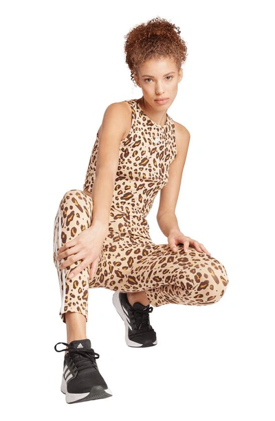 Shop Adidas Originals Leopard Print Crop Tank Top In Beige/ Mesa/ Shadow Brown