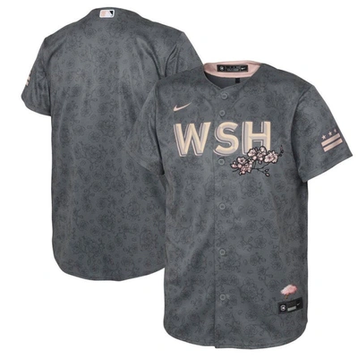 Shop Nike Infant  Gray Washington Nationals City Connect Replica Jersey