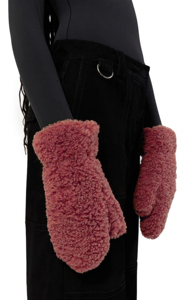 Shop Apparis Coco Luxe Teddie Faux Shearling Mittens In Dusty Rose