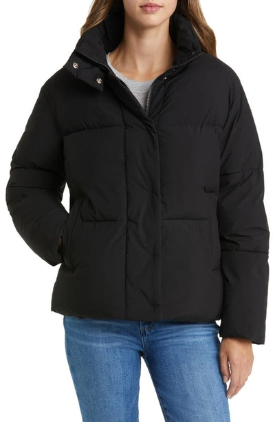 Shop Sam Edelman Stand Collar Puffer Jacket In Black