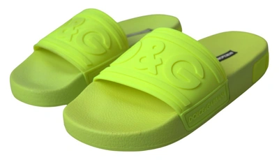 Shop Dolce & Gabbana Yellow Green Sandals Slides Women's Shoes